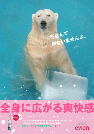 poster 動物シリーズ 白熊